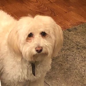 Meet your Posher, Leslie